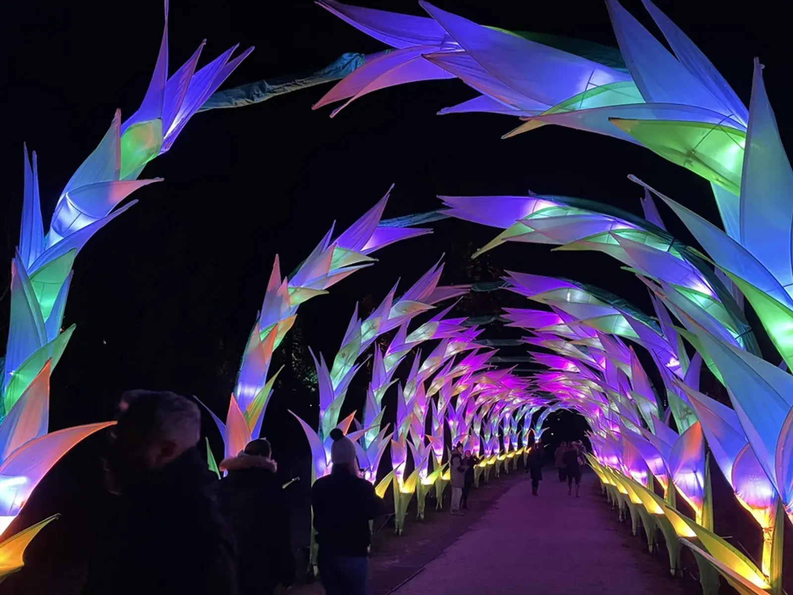 Heaton Park Christmas Lights - Paid Ticket Required promotional event cover