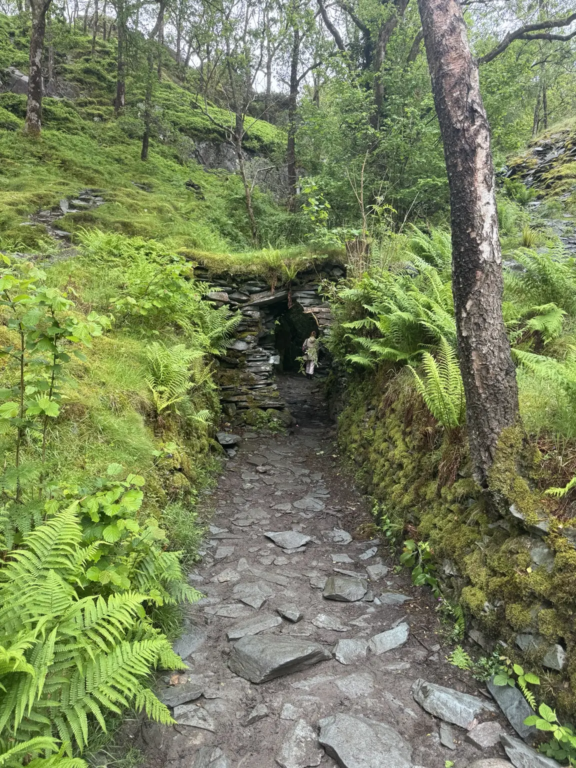 Woodland trail near Cathedral Quarry in Little Langdale