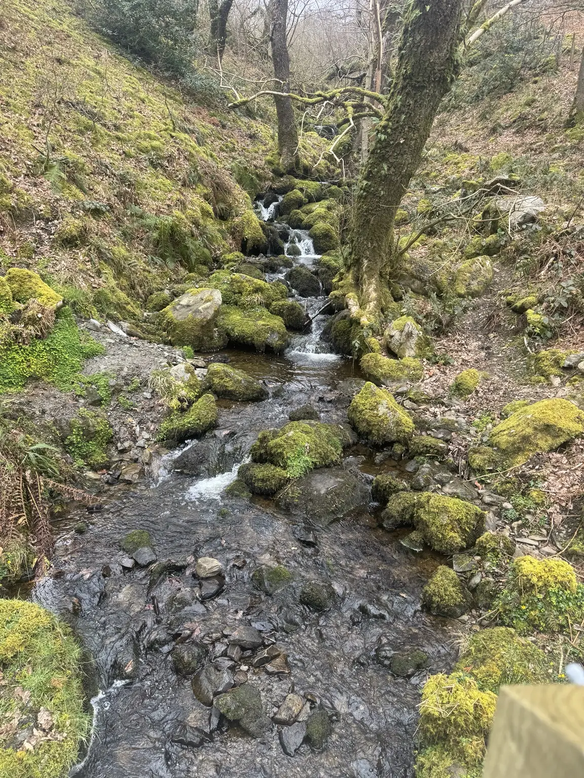 A woodland stream in the Elan Valley photographed during a Lifted Spirits meet-up