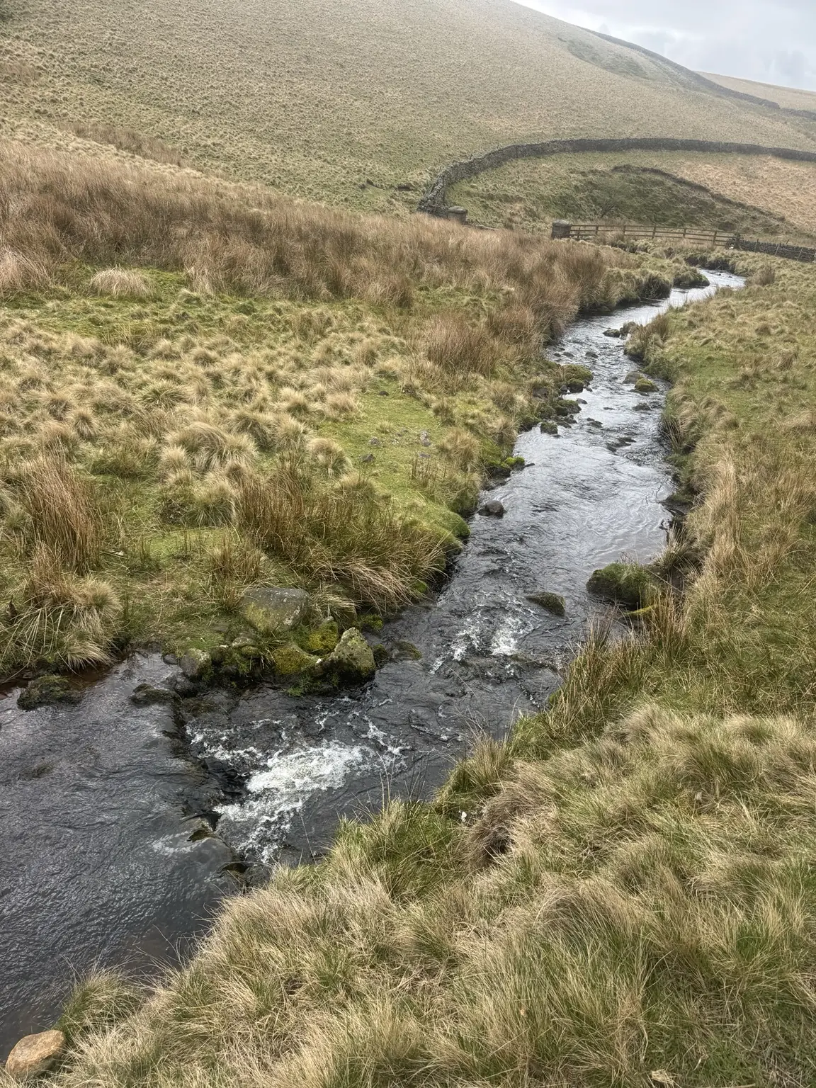 Moorland stream near Kinder Reservoir photographed during a Lifted Spirits walk